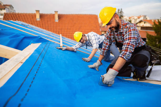 Fast & Reliable Emergency Roof Repairs in South Elgin, IL